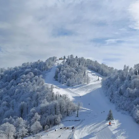 Apartment Luxurious 3br Izmit Apartments- Mountain View Kocaeli