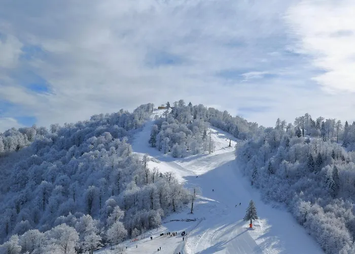 Apartment Luxurious 3br Izmit Apartments- Mountain View Kocaeli