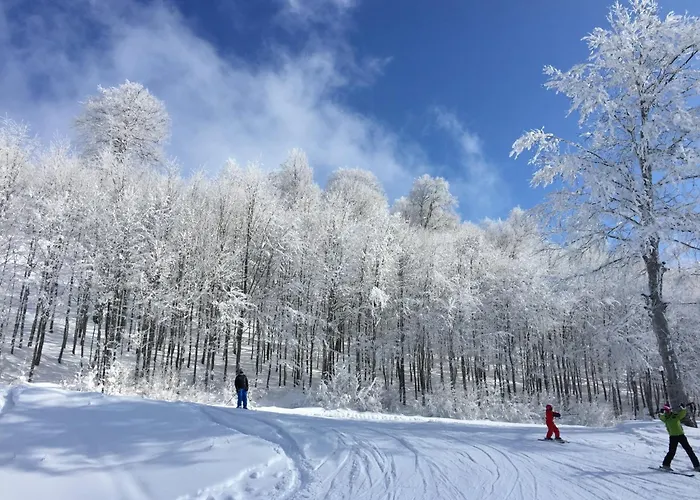 Luxurious 3br Izmit Apartments- Mountain View 公寓 *